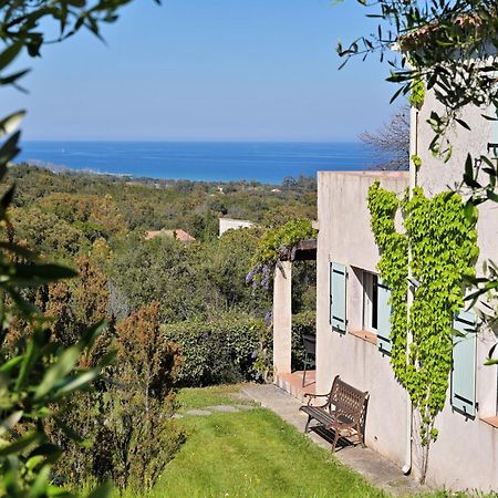 Domaine Punta Della Guardia Villa Vue Mer Dans Nature Protegee, Plage A 1,5 Km Cervione Kültér fotó