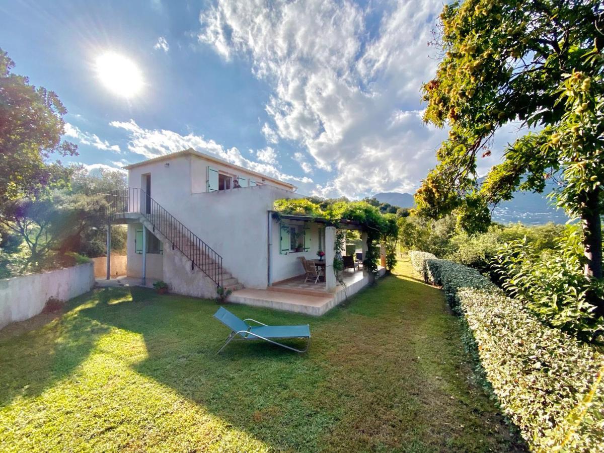 Domaine Punta Della Guardia Villa Vue Mer Dans Nature Protegee, Plage A 1,5 Km Cervione Kültér fotó